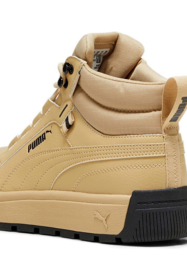 Shoes Puma Tarrenz Sb Iii Puretex Бежевый