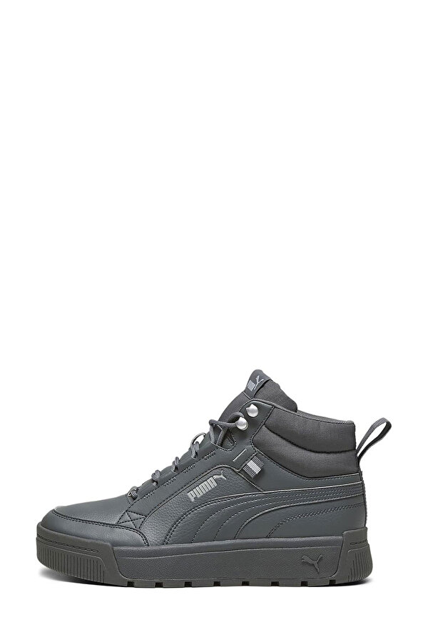 Shoes Puma Tarrenz Sb Iii Toasted-To Серый 023