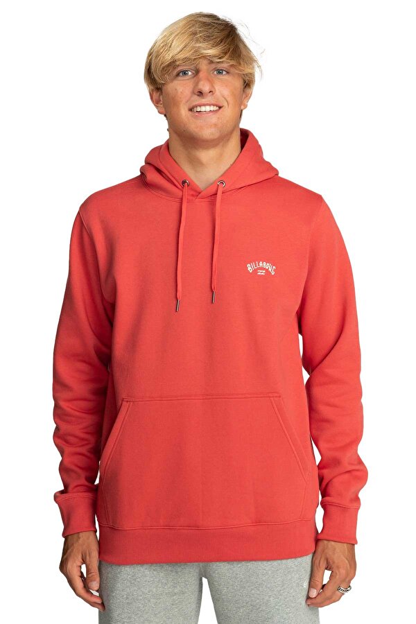 Arch Po Erkek Sweatshirt