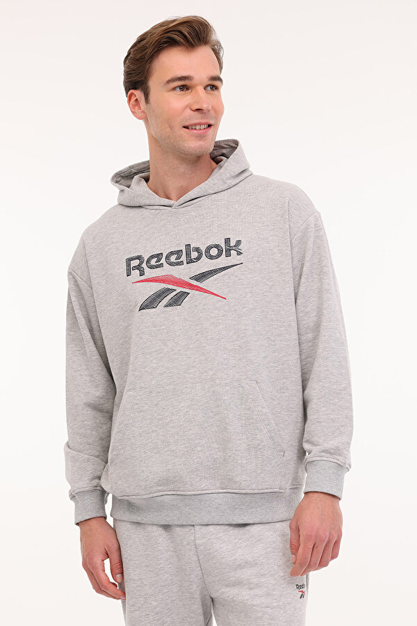 NEW ID REG HOODIE Gri Erkek Sweatshirt