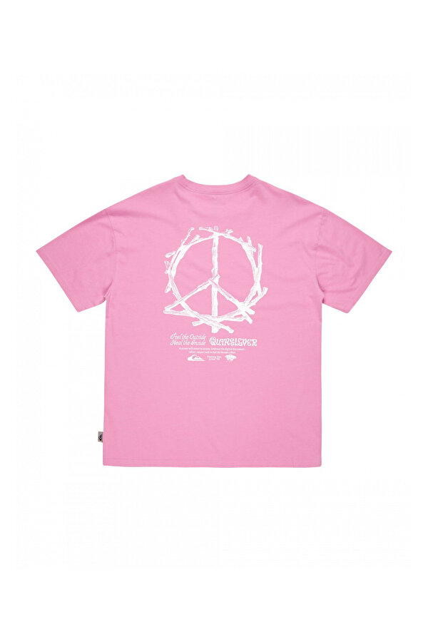 Clothing Quiksilver Hw Tree Connection Ss Розовый 003