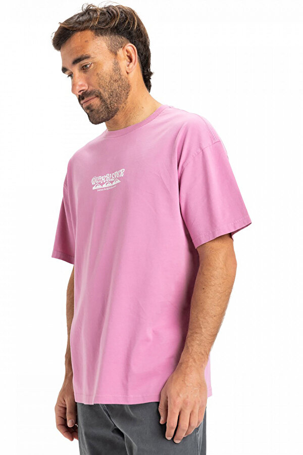 Clothing Quiksilver Hw Tree Connection Ss Розовый 003