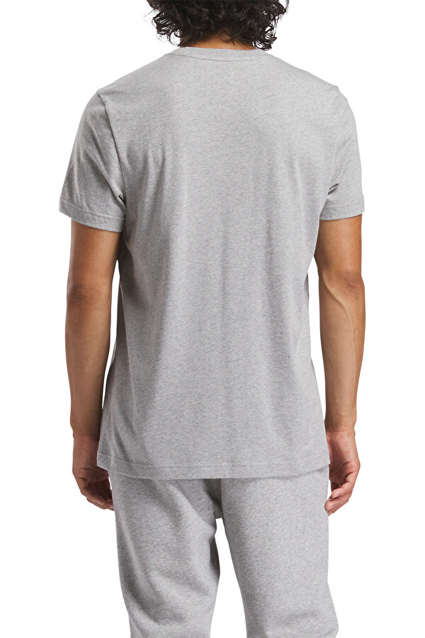 IDENTITY SMALL LOG GRAY MELANGE Man 054