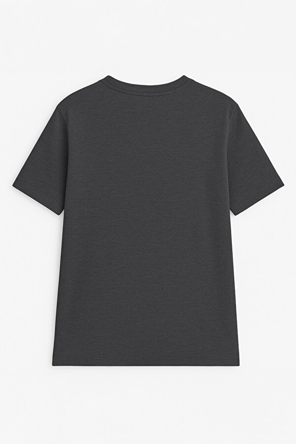 Erkek %100 Pamuk Bisiklet Yaka Yazı Baskılı T-shirt