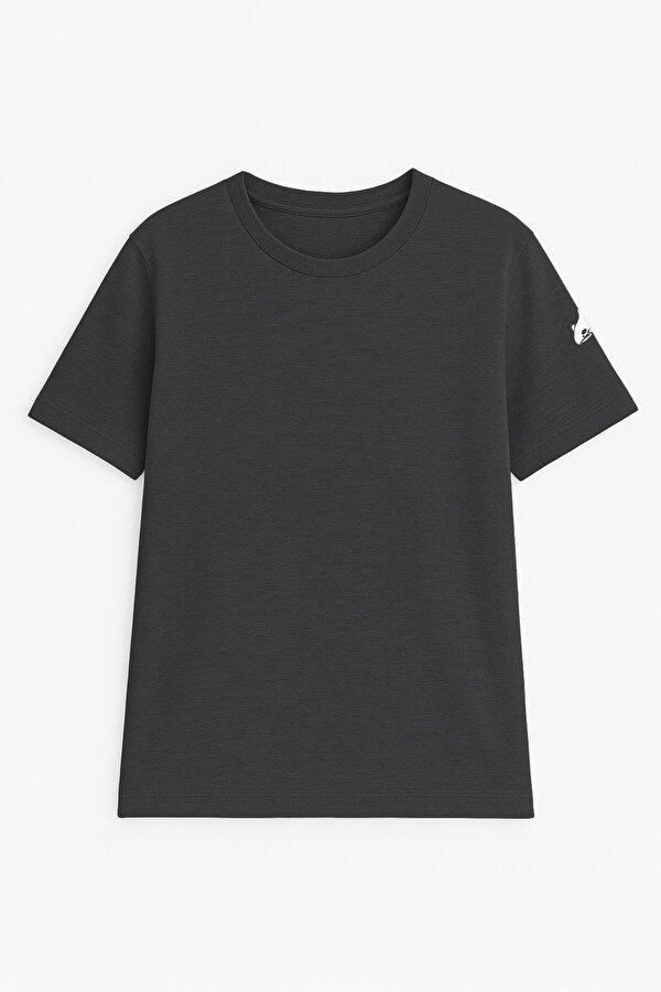 Erkek Bisiklet Yaka Basic Düz Kısa Kollu Gri T-shirt