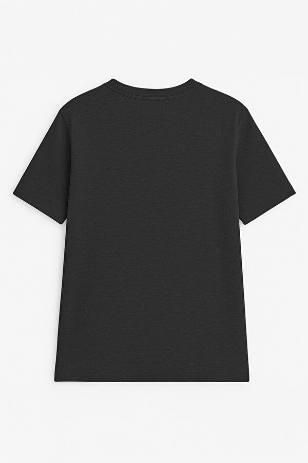 Erkek Bisiklet Yaka Basic Düz Kısa Kollu Gri T-shirt