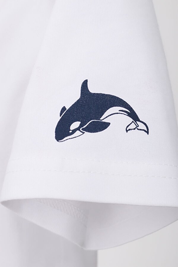 Erkek Bisiklet Yaka Basic Düz Kısa Kollu Gri T-shirt