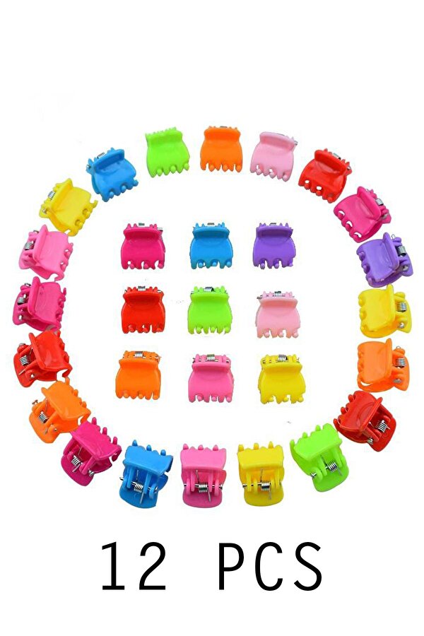 Kadın Renkli 12 Li Mini Mandal Toka Seti