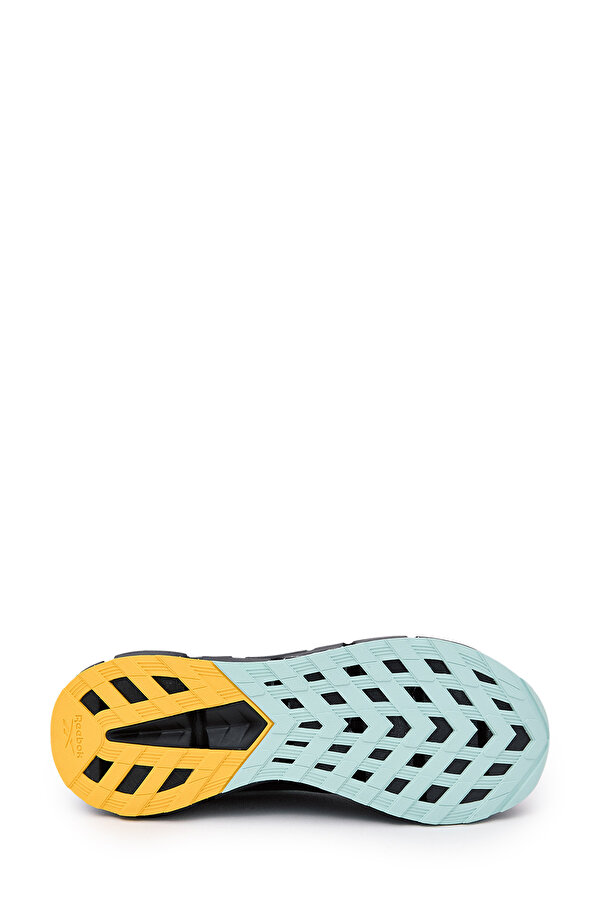 Shoes Reebok Zig Dynamica 6 Черный