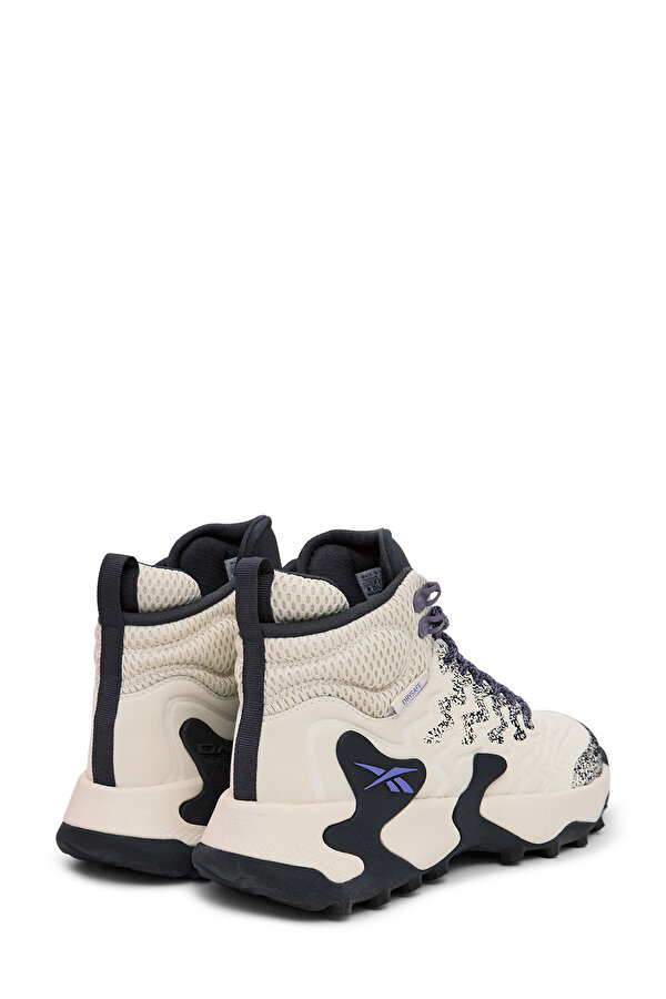 Shoes Reebok Kitari Dmx Бежевый 017