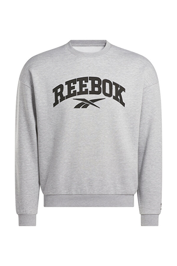 Clothing Reebok Cottle Sweatshirt Серый 025