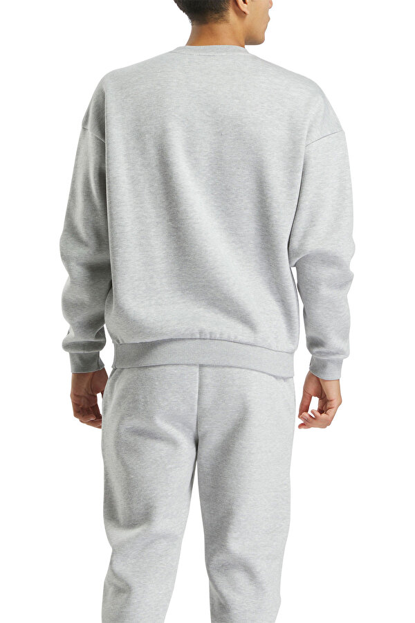 Clothing Reebok Cottle Sweatshirt Серый 025