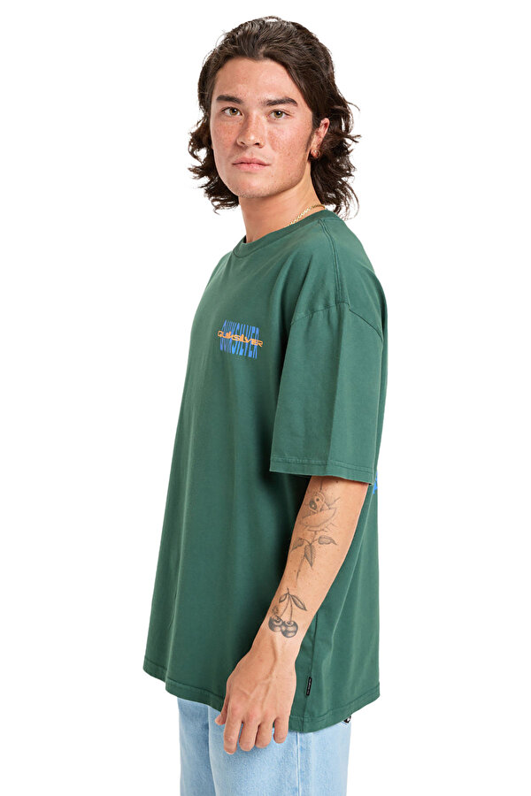 Clothing Quiksilver Hw Desert Paradise Ss Зеленый 004