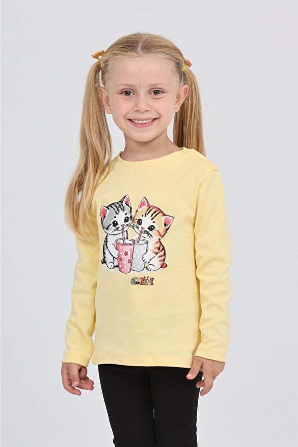 Toontoy Kız Çocuk İkili Kedi Baskılı Sweatshirt