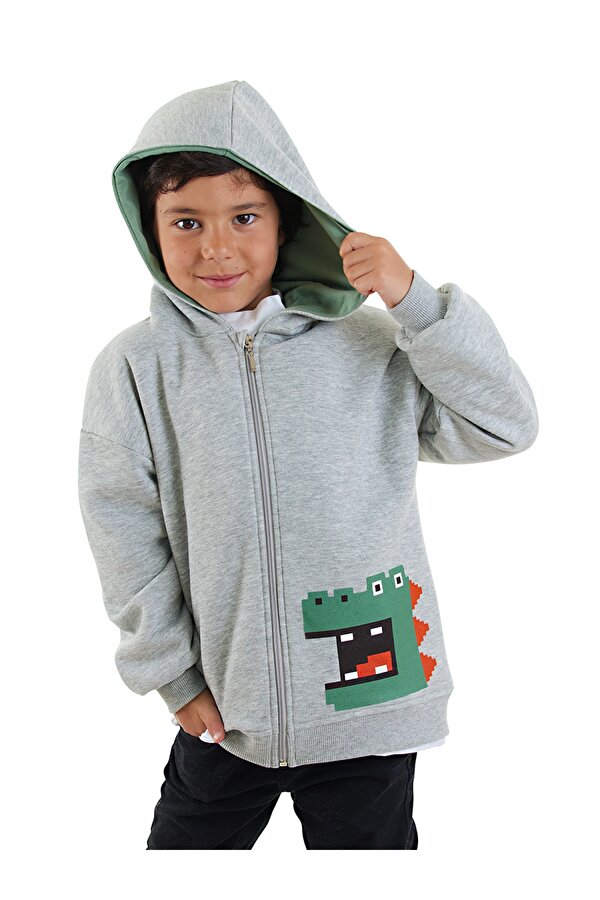 Dinozor Erkek Çocuk Fermuarlı Kapüşonlu Gri Sweatshirt