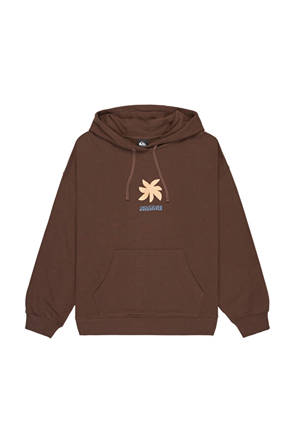 Clothing Quiksilver Standard Hoodie Коричневый 002