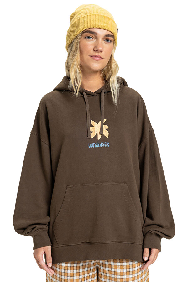 Clothing Quiksilver Standard Hoodie Коричневый 002