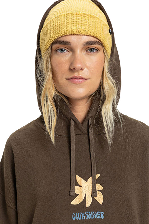 Clothing Quiksilver Standard Hoodie Коричневый 002
