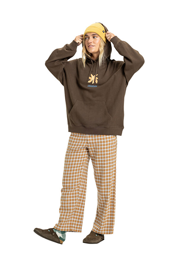 Clothing Quiksilver Standard Hoodie Коричневый 002