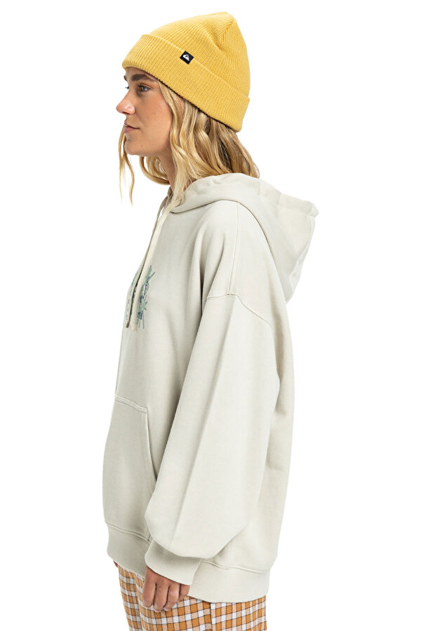 Clothing Quiksilver Standard Hoodie Бежевый