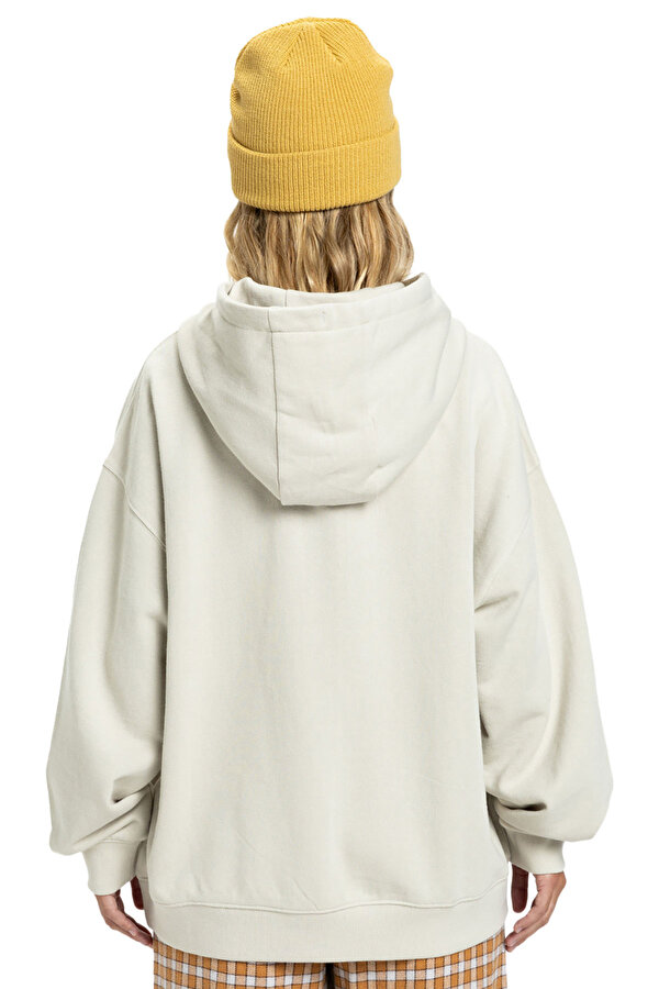 Clothing Quiksilver Standard Hoodie Бежевый