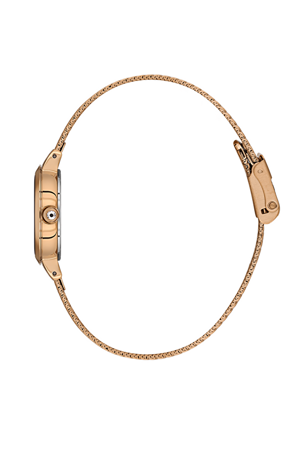 DANİEL KLEİN KADIN KOL SAATİ DKE.1.10937-5