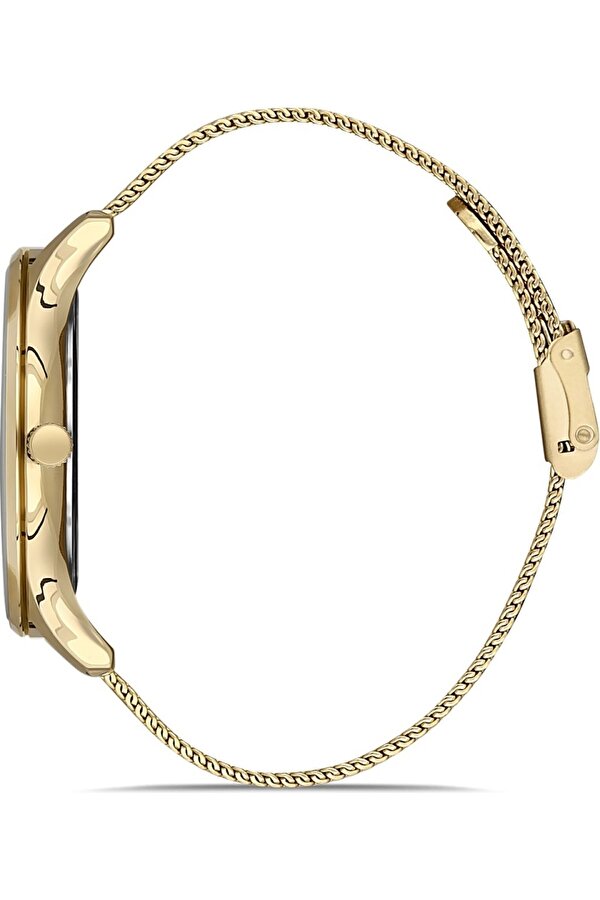 ERKEK KOL SAATİ BG.1.10366.4