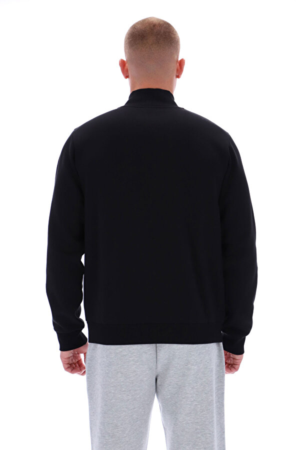 Clothing Reebok Asher Small Logo Qtr Zip Черный