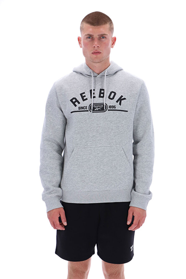 Clothing Reebok Dylan Pullover Hoody Серый 025