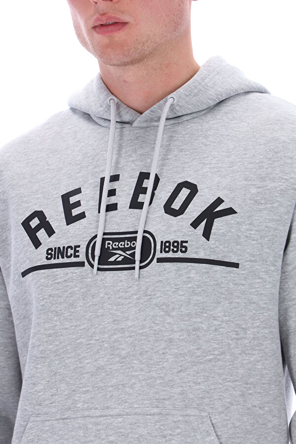 Clothing Reebok Dylan Pullover Hoody Серый 025