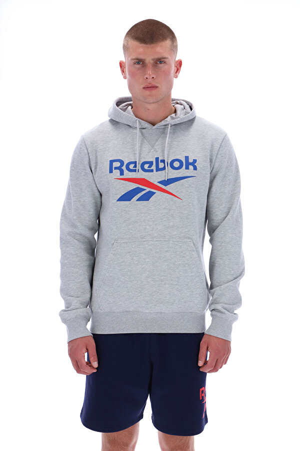 Clothing Reebok Trent 2 Col Logo Hoody Серый 025