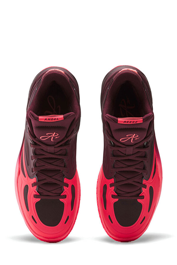 ENGINE A Bordo Unisex Basketbol Ayakkabısı