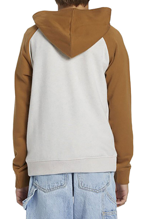  Dc Shoes Dc Corpo Raglan Ph Boy Мультиколор