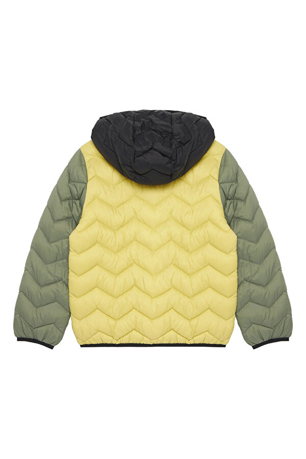 Erkek Çocuk Mont 2TWDCN04V SARI