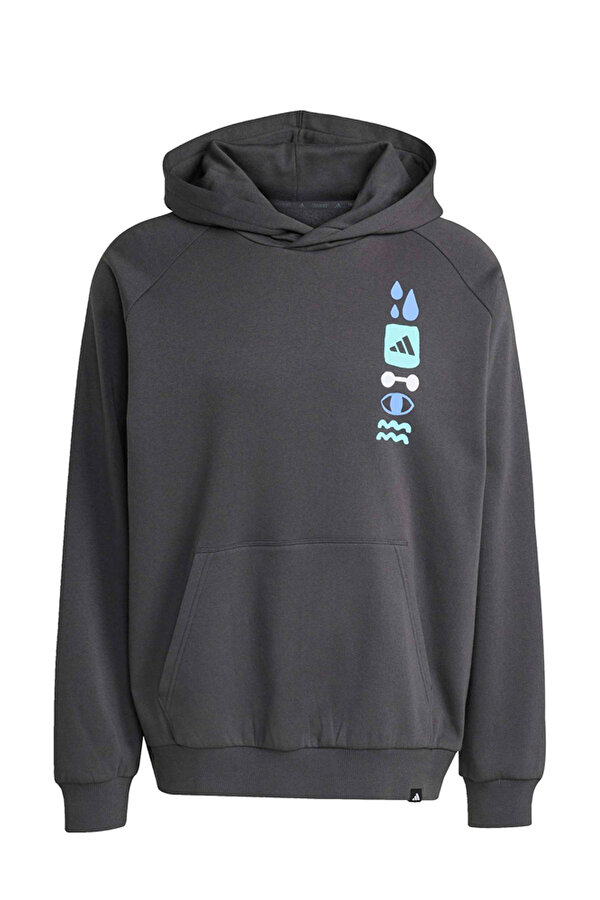 GFX HOODIE Siyah Erkek Sweatshirt