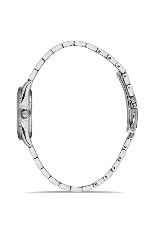 DK.1.AG1402.02 Çelik Kordon Çelik Kasa 5 ATM Suya Dayanıklı Metalik Renk Kadın Kol Saati