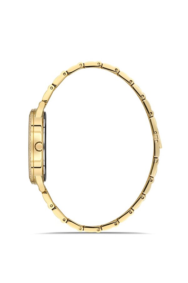 DK.1.AG1372.GA2-06 Taşlı Tasarım Çelik Kordon Çelik Kasa 5 ATM Suya Dayanıklı Altın Renk Kadın Kol Saati