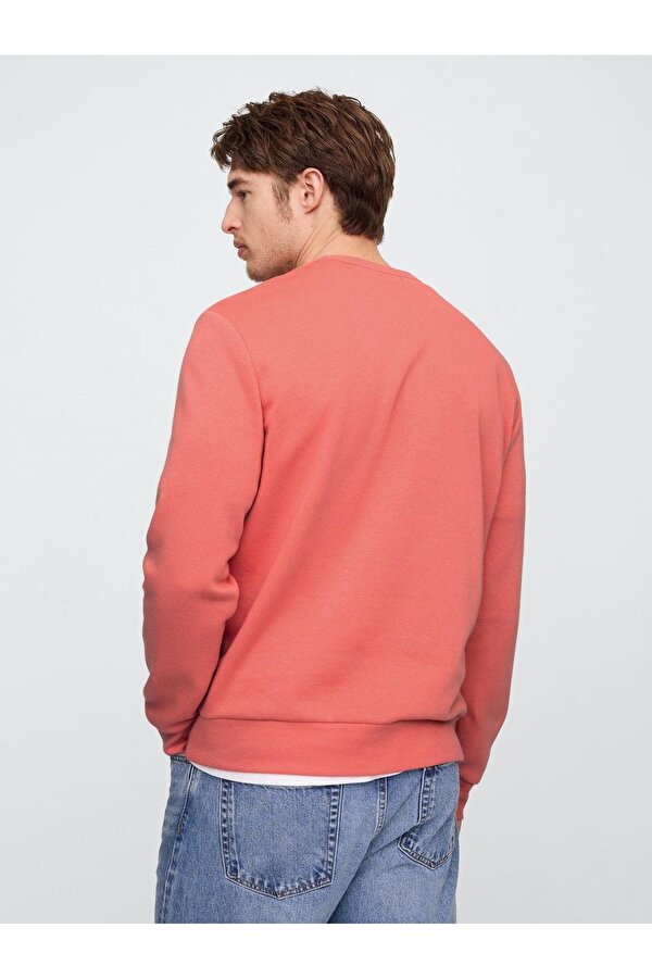 V-LW DB Fleece Erkek Sweatshirt