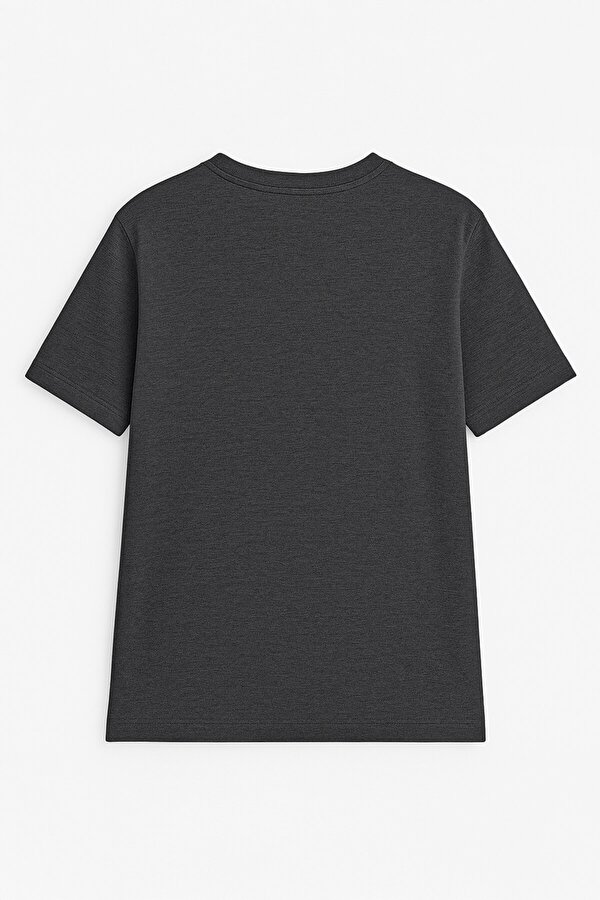 Erkek %100 Pamuk Bisiklet Yaka Baskılı T-shirt