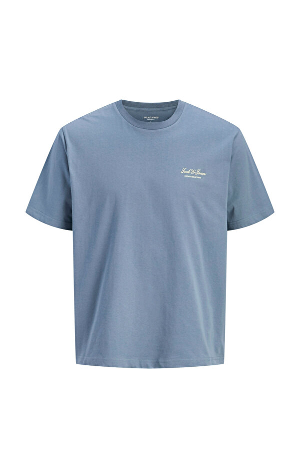 JJEARCHIVE GRAPHIC TEE SS Mavi Erkek Kısa Kol T-Shirt