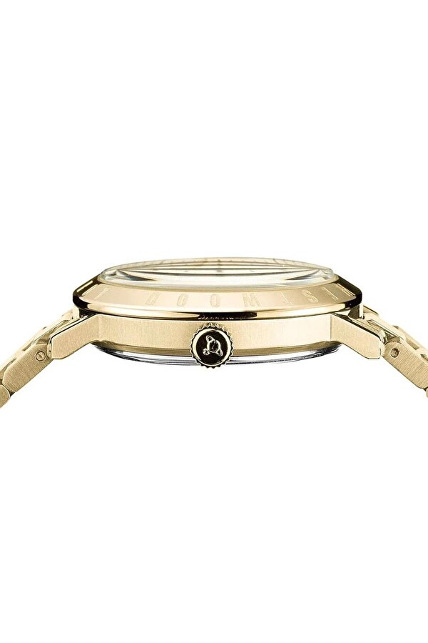 VV152GDGD Kadın Kol Saati