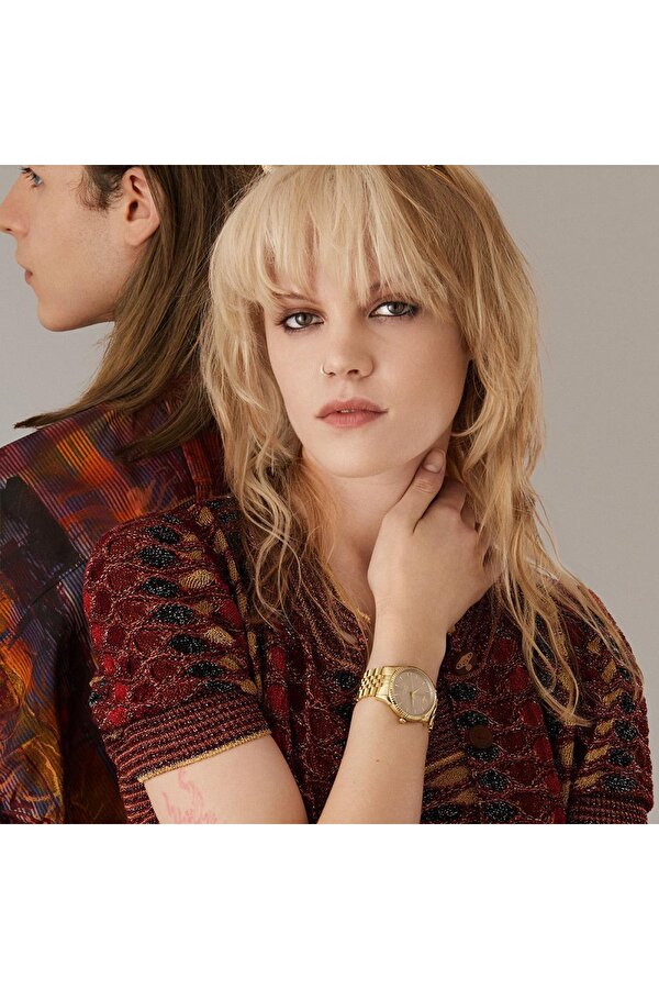 VV240PKGD Kadın Kol Saati