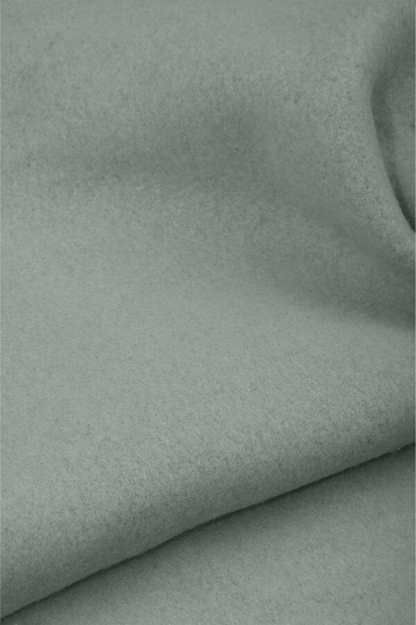 DeepSEA Erkek Mint Yeşili Relax Fit İçi Polarlı Polo Yaka Sweatshirt – Pamuklu Kalın Sweatshirt 2600762