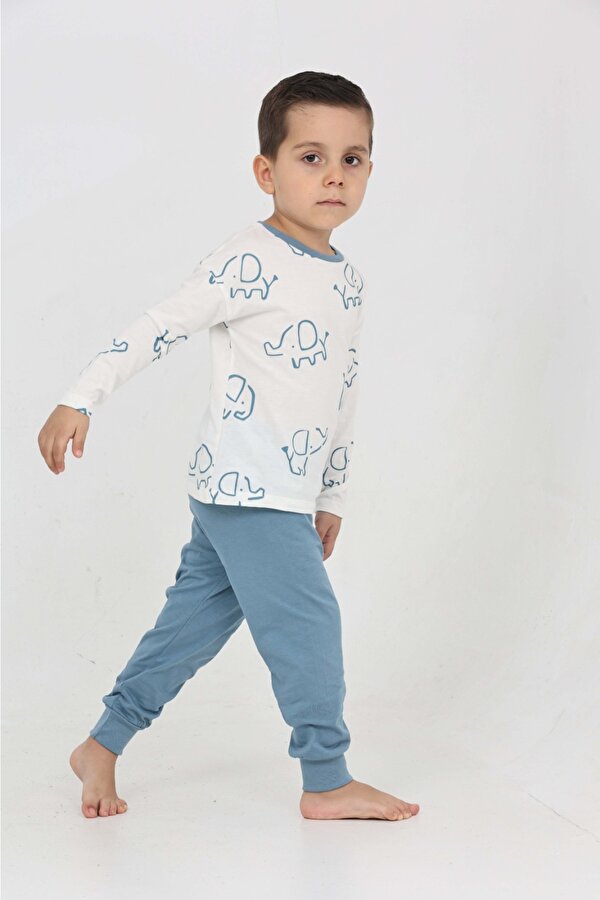Toontoy Erkek Çocuk Fil Pano Baskılı Pijama Takım