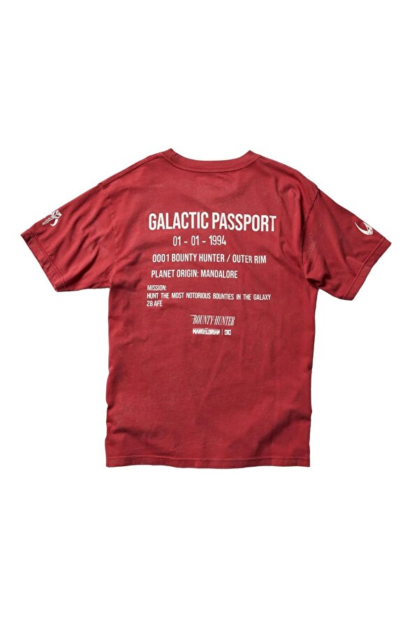 ADYZT05314-RZD0 Sw Mando Passport Hss Erkek Spor Tişört