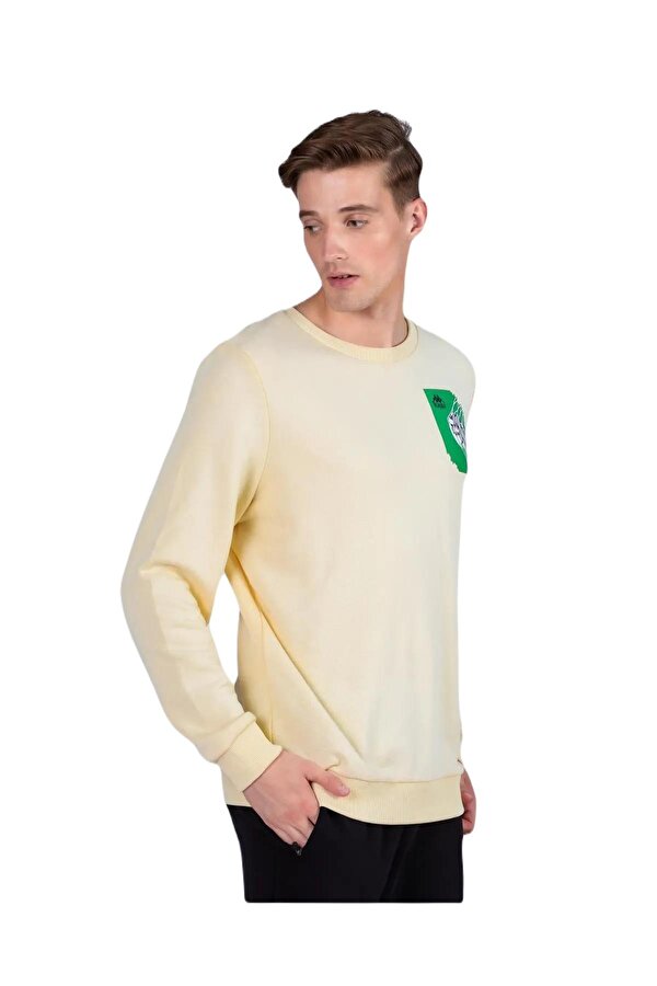 371I77W057-K Authentic Graphik Vanes Tk Erkek Sweatshirt