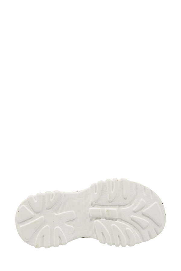 ROOKS-INT 6FX Brown Boy 077