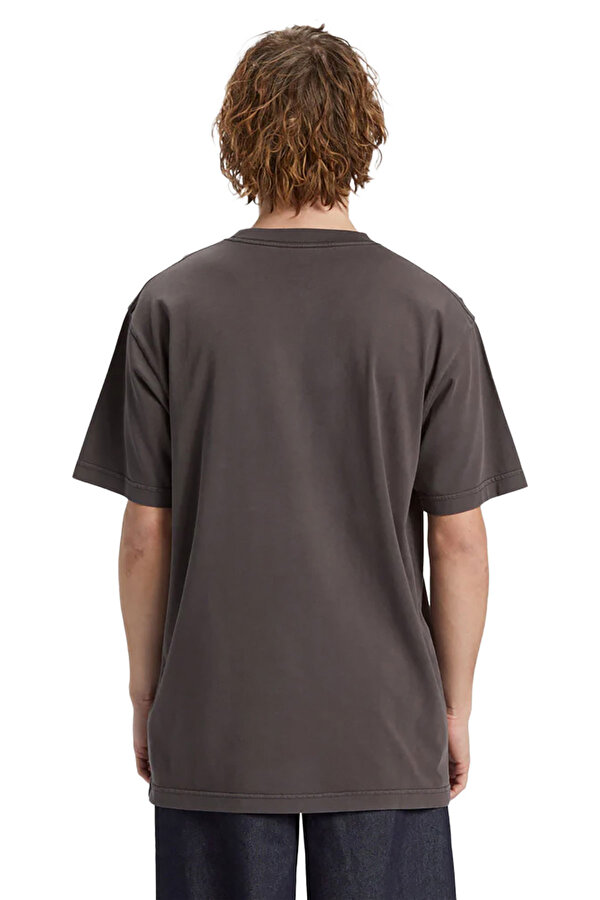 DC STAR PIGMENT DYE HSS 373