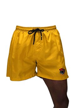 Color 200980240