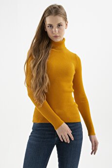 Color 201030402